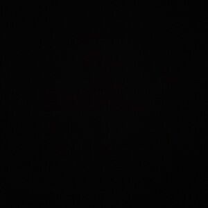 Meet your Posher, Deandra